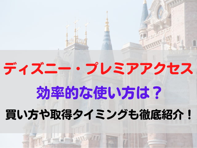 ディズニー プレミアアクセス 効率的 使い方 買い方 発券 タイミング